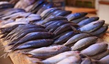 Balık kokusu neden keskinleşir? Bilim insanları cevapladı