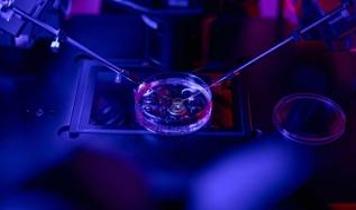 Yale Üniversitesi'nden karanlık madde iddiasına büyük darbe