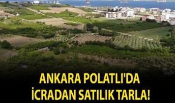 Ankara Polatlı'da icradan satılık tarla!