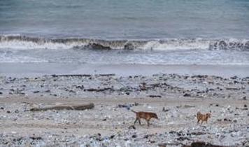Lombok Boğazı'nda tedirginlik! Torpido benzeri cihazın kökeni araştırılıyor