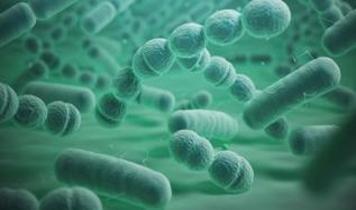 Kanserin gizli nedeni bulundu mu? Bağırsakta saklanan virüs şok etti