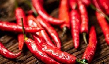 Acı biber neden yakar? Beyniniz aslında ne hissediyor