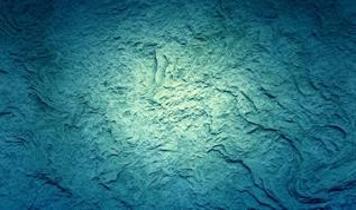 Okyanus tabanındaki gizemli beyaz halkalar şok etti