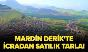 Mardin Derik'te icradan satılık tarla!