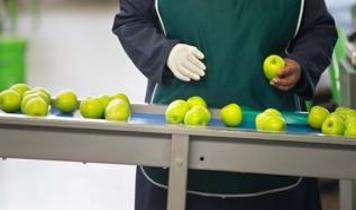 Bilim insanlarından meyve güvenliğinde devrim! Pestisit temizliğinde yüzde 94 başarı