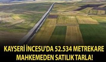 Kayseri İncesu'da 52.534 metrekare mahkemeden satılık tarla!