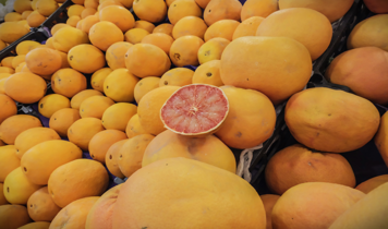 Türkiye'nin Turunçgil İhracatı Ocak-Mart Döneminde Yüzde 61 Arttı!