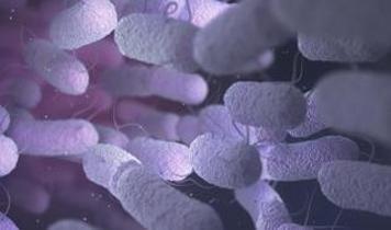 Bilim dünyasında alarm! Sentetik bakteriler ekolojik felakete yol açabilir