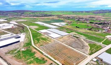 Samsun Bafra Sera Organize Tarım Bölgesi'nden ekonomiye yıllık 1,5 milyar lira katkı