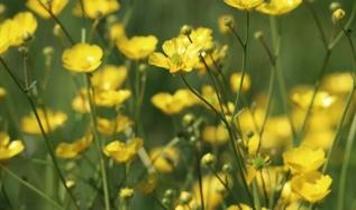 Bilim dünyası bunu konuşuyor! Ölümcül bakteriye karşı sürpriz çözüm