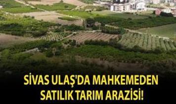 Sivas Ulaş'da mahkemeden satılık tarım arazisi!
