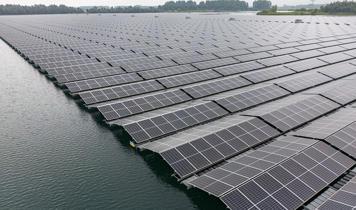 Yüzer güneş enerji santralleri doğal yaşama çatı oluyor