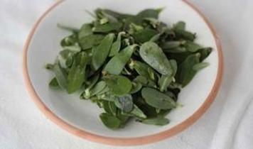 Semizotu uzmanlardan kalp ve bağışıklık için tavsiye