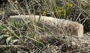 Ankara'da şaşırtan keşif... Mantar toplarken top mermisi buldular