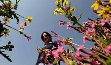 Bugün hava nasıl? 26 Nisan Pazar günlük hava durumu raporu