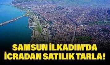 Samsun İlkadım'da icradan satılık tarla!