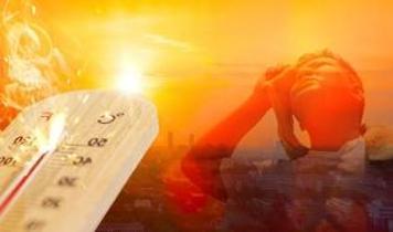 Çarşamba günü kimse işe gitmeyecek! 50 derece sıcaklık hayatı felç etti