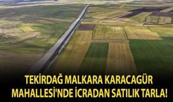 Tekirdağ Malkara Karacagür Mahallesi'nde icradan satılık tarla!