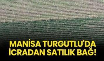 Manisa Turgutlu'da icradan satılık bağ!