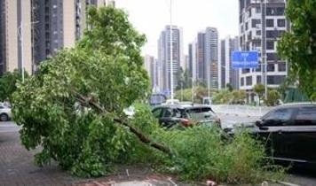 Ülke alarm durumuna geçti! Yaklaşan tayfun nedeniyle yaklaşık 390 bin kişi tahliye edildi