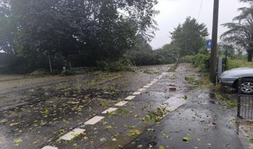 Almanya'da şiddetli fırtına: 1 ölü, 2 yaralı
