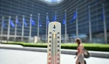 Belçika'da sıcak hava dalgası! Binlerce kişi hayatını kaybetti