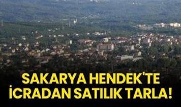 Sakarya Hendek'te icradan satılık tarla!
