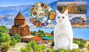 Doğu'da mavi hazine Van sayısız güzellik sunuyor