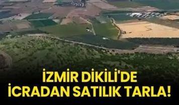 İzmir Dikili'de icradan satılık tarla!