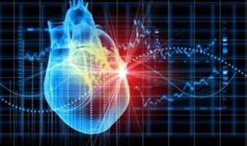 Kalp hücrelerinde erken stresin izleri haftalar sonra bile koruyucu etki gösterdi
