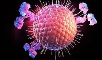 Tümörün kendi bağışıklık hücreleri ona karşı kullanılabilir mi? Yeni nanopartikül yaklaşımı dikkat çekti
