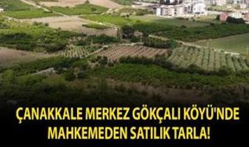 Çanakkale Merkez Gökçalı Köyü'nde mahkemeden satılık tarla!