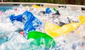 Bilim insanları kendi kendini yok eden "canlı plastik" geliştirdi