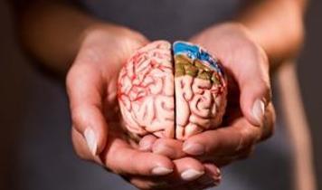 Parkinson ve Alzheimer için devrim niteliğinde keşif! Minik solucanlar beyin hücresi yenilemenin sırrını çözüyor