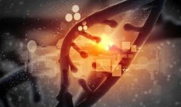Yapay zeka insanlığın yıllardır aradığı genetik mekanizmayı çözdü
