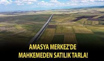 Amasya Merkez'de mahkemeden satılık tarla!