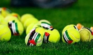 İrlandalı taraftarlar Filistin bayraklı tenis toplarıyla İsrail'i protesto etti