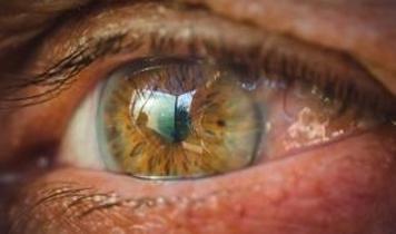 Yetişkin retina gerçekten kendini onarabilir mi? Gen tedavisinden şaşırtan sonuç