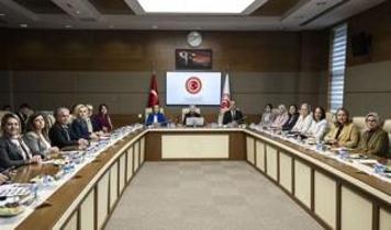 TBMM Kadın Erkek Fırsat Eşitliği Komisyonundan şiddet mağduru kadının "can güvenliği" endişesine hızlı çözüm