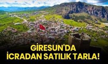 Giresun Şebinkarahisar'da icradan satılık tarla!