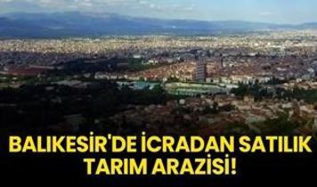 Balıkesir'de icradan satılık tarım arazisi!