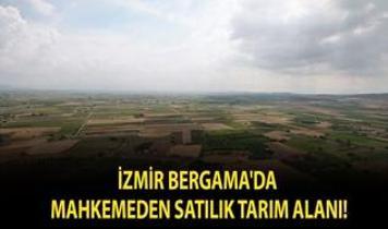İzmir Bergama'da mahkemeden satılık tarım alanı!