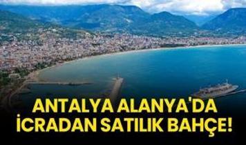 Antalya Alanya'da icradan satılık bahçe!