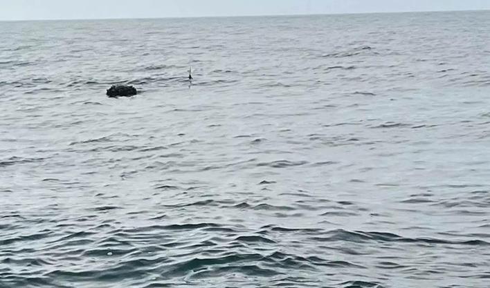 MSB: İğneada açıklarında mayın imha edildi