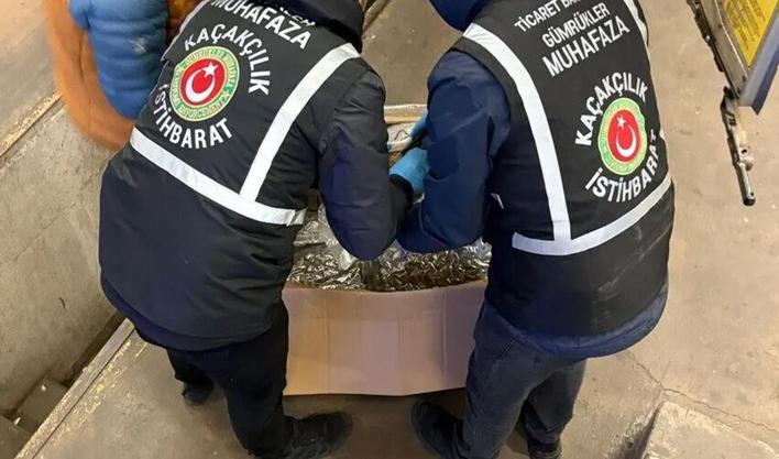 Gümrük muhafaza ekipleri kaçakçılara göz açtırmadı