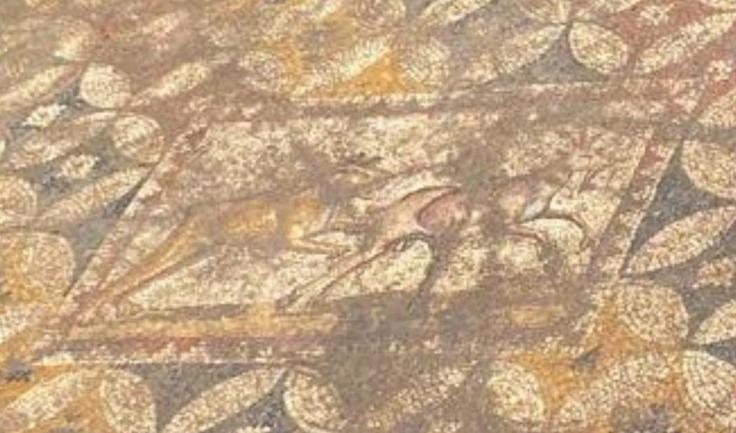 Evin zemininden 2500 yıllık tarih çıktı