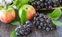 Aronia meyvesi nedir ve neden herkes onu konuşuyor?