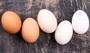 Yumurta saklamada gizli formül! sivri taraf aşağıda mı kalmalı?