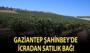 Gaziantep Şahinbey'de icradan satılık bağ!