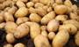 Patates hangi ilde meşhur? Üretiminde öne çıkan iller